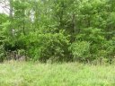 105 Pinecrest Drive sold home in Shelby, SC