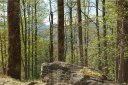 59 Vizsla Way sold home in Waynesville, SC