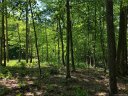 1230 Arborcrest Way Lot 47 sold home in Swannanoa, SC