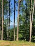 1411 Easy Wind Drive Lot 54 sold home in Swannanoa, SC