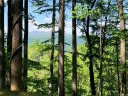 1319 Daydream Ridge Lot 53 sold home in Swannanoa, SC