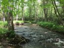 2 Susanna Cove Road sold home in Mars Hill, SC