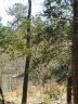 Lot 30 Fern Drive sold home in Mount Gilead, SC