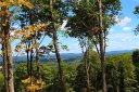 35 Curtain Bluff None R2 sold home in Hendersonville, SC