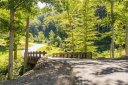 19 Twinflower Trail sold home in Asheville, SC