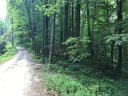330 Lynn Crest Drive sold home in Brevard, SC
