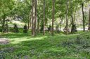 99999 Brookwood Road 6 sold home in Asheville, SC