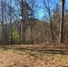 46 Starling Pass sold home in Asheville, SC