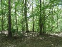 29 General Griffith Circle sold home in Rutherfordton, SC