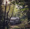 123 Forest Hill Drive sold home in Asheville, SC