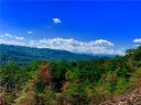 Lot W9 Curtain Bluff None sold home in Hendersonville, SC