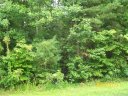 1223 Forest Ridge Road sold home in Bessemer City, SC