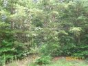 1207 Forest Ridge Drive sold home in Bessemer City, SC