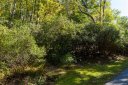 000 Winterstar Loop sold home in Burnsville, SC