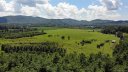 Lot 90 Mountain Brook Trail sold home in Brevard, SC