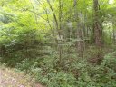 00 Wakulla Way 38 sold home in Waynesville, SC