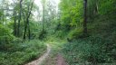 47 Foxfire Drive sold home in Maggie Valley, SC