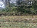 Lot 27 Grand Oaks Drive sold home in Hendersonville, SC