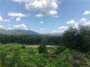116 Chepstow Place 69 sold home in Black Mountain, SC