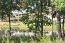 8100 Chaplin Circle sold home in Waxhaw, SC