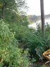 5870 Wood Duck Way 14 sold home in Catawba, SC