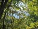 Lot C9 Briarwood Road sold home in Maggie Valley, SC