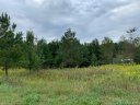 37 Luther Drive sold home in Iron Station, SC
