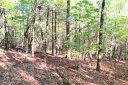 530 Slick Rock Road Tract 1 sold home in Brevard, SC