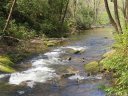 55 Native Trout Drive sold home in Tuckasegee, SC