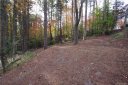 Lot 49 Redwood Road sold home in Brevard, SC