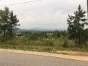 99999 Climbing Aster Way 57 sold home in Asheville, SC