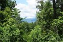 4932 E Crest Drive 19 sold home in Morganton, SC