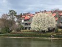 9039 J M Keynes Drive 14 sold home in Charlotte, SC