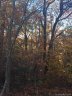 000 Floral Drive 146 sold home in Marion, SC
