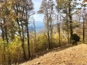 0000 Hidden Rock Way sold home in Zirconia, SC