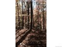 00 Fern Trail 50 sold home in Waynesville, SC