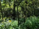 69 Live Oak Loop sold home in Waynesville, SC