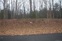 795 Bellegray Road 23 sold home in Clover, SC