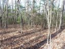 51 N Pointe Drive sold home in Zirconia, SC