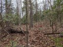 99999 Prospectors Trail sold home in Black Mountain, SC