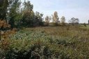 1603 Lewis Farm Road sold home in Kings Mountain, SC