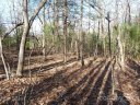 52 N Pointe Drive sold home in Zirconia, SC