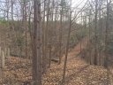 Lot 62 Bramblewood Drive sold home in Rutherfordton, SC