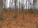 4221 Pinto Lane sold home in Gastonia, SC