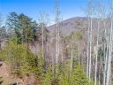 9999 Village Pointe Lane 37 sold home in Asheville, SC