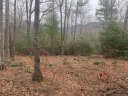 99999 Lynnette Drive 2 sold home in Fairview, SC