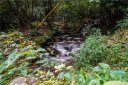 2 89 Acres Lady Slipper Trail 49 & Pt 48 & Adj sold home in Swannanoa, SC