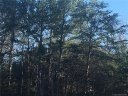 20 21 Brookside Drive 20/21 sold home in Norwood, SC