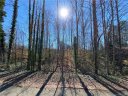 618 Texas Trail sold home in Dallas, SC