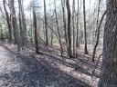 46 Piney Gate Road sold home in Saluda, SC